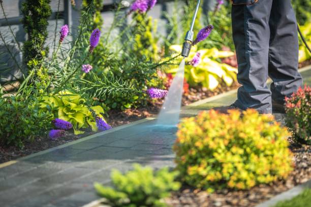 Professional Pressure Washing Services in Krum, TX